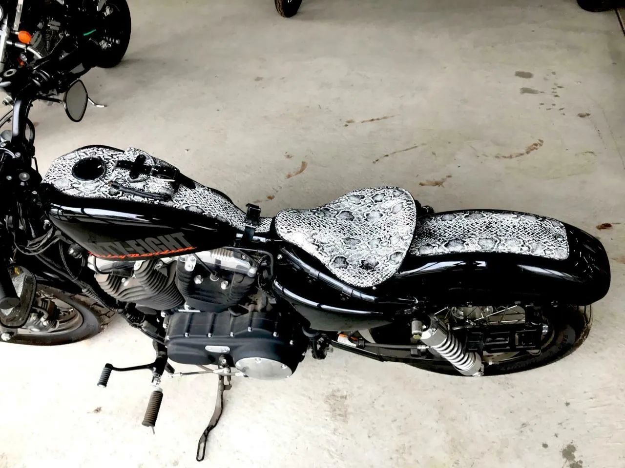 2010-2022 Sportster Harley Spring Seat Conversion Kit Ant White Snake Python bc