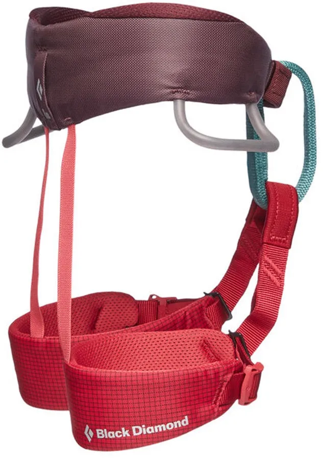 Black Diamond Momentum Kids Harness