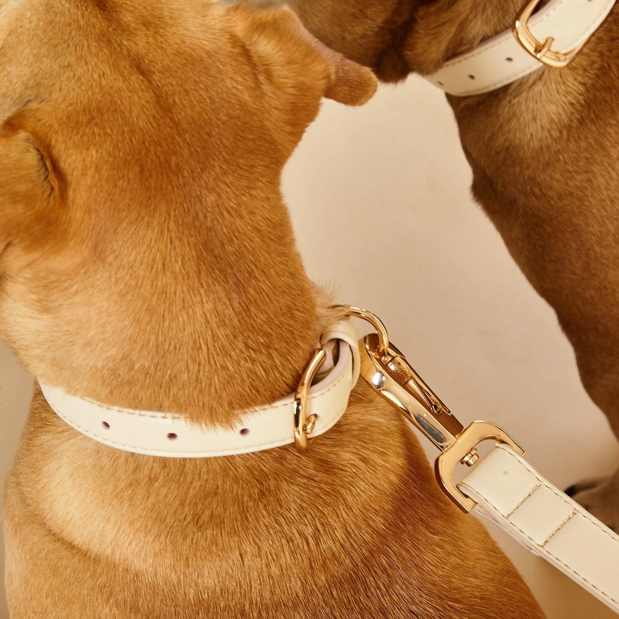 City Vegan Leather Dog Collar | Light Ivory
