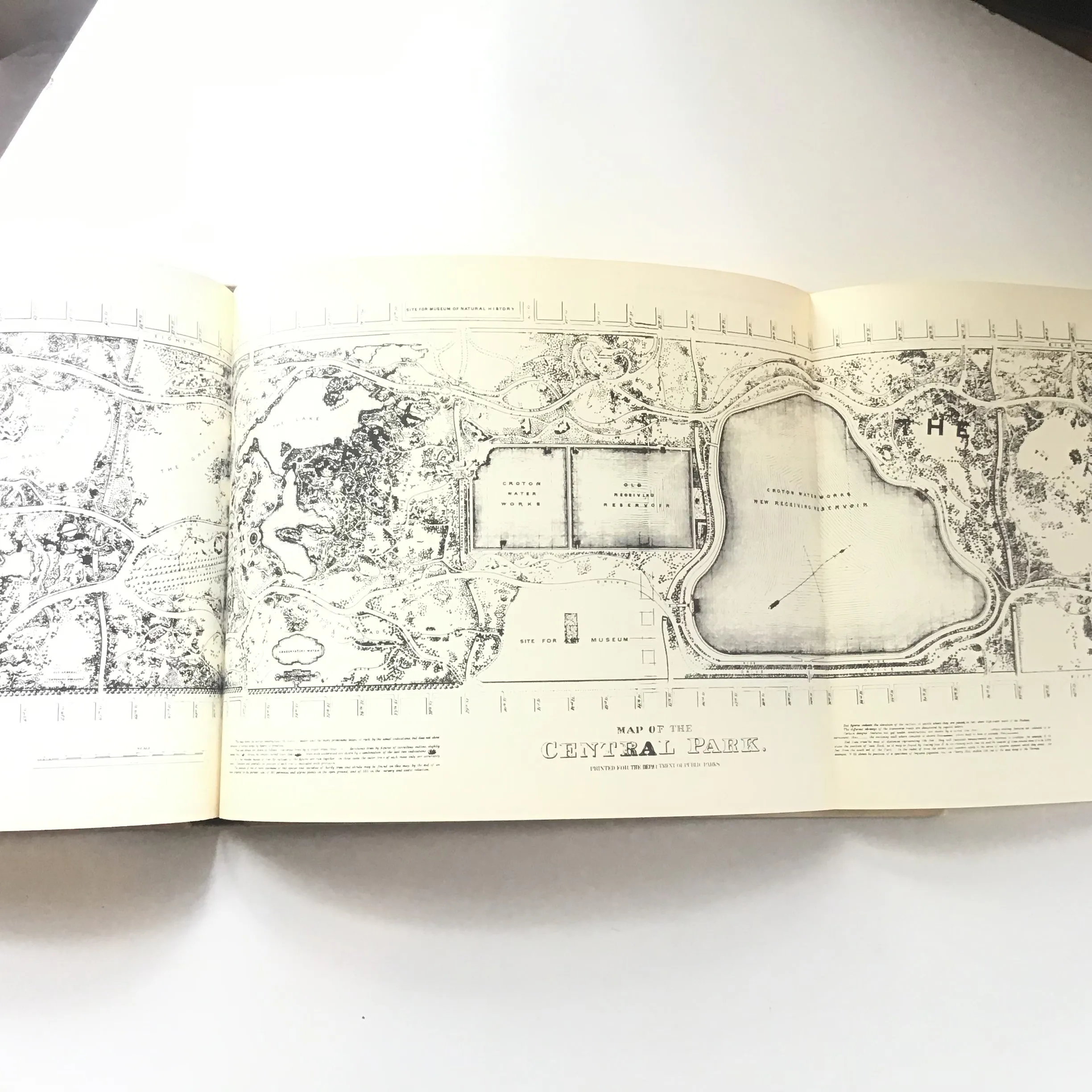 Frederick Law Olmsted's New York