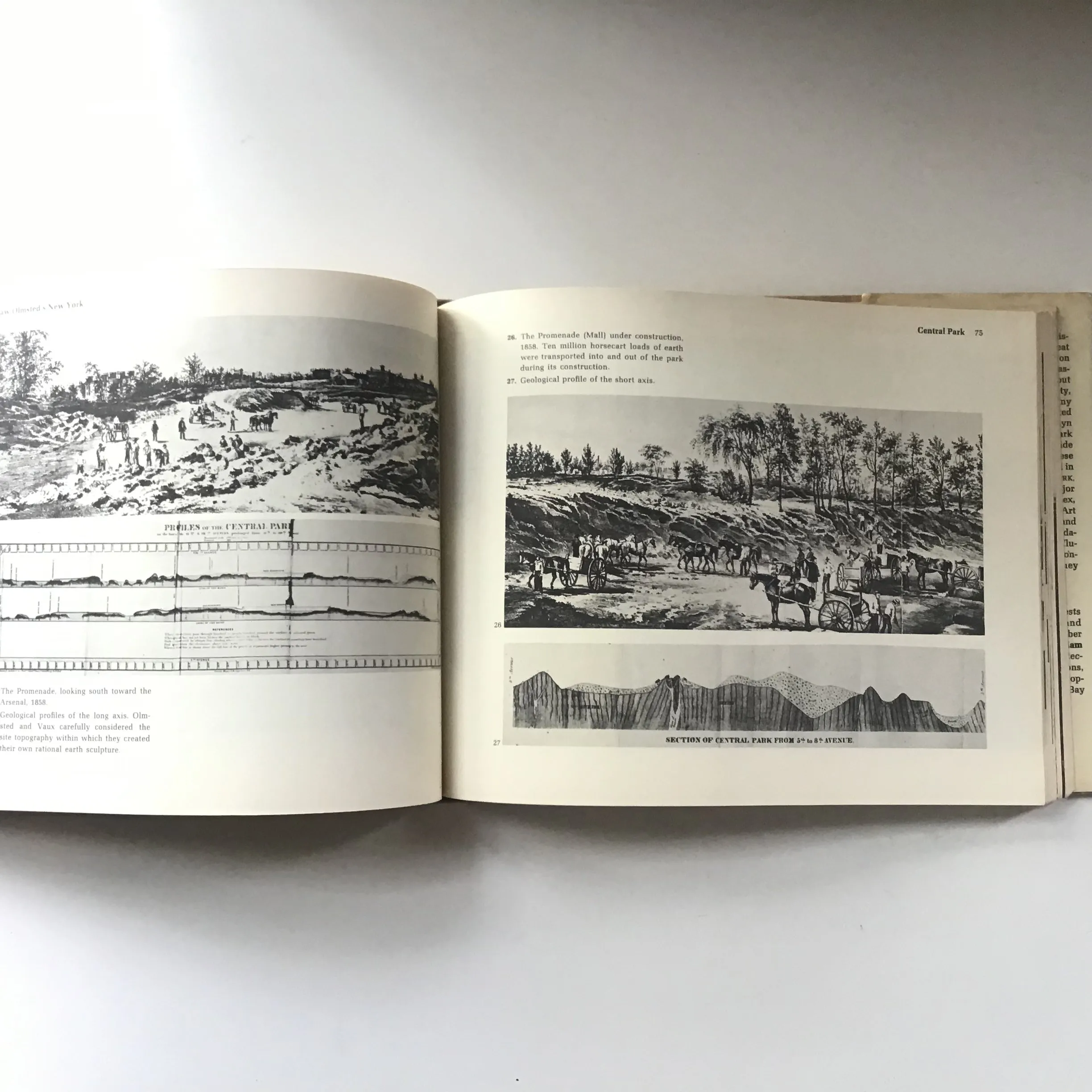 Frederick Law Olmsted's New York