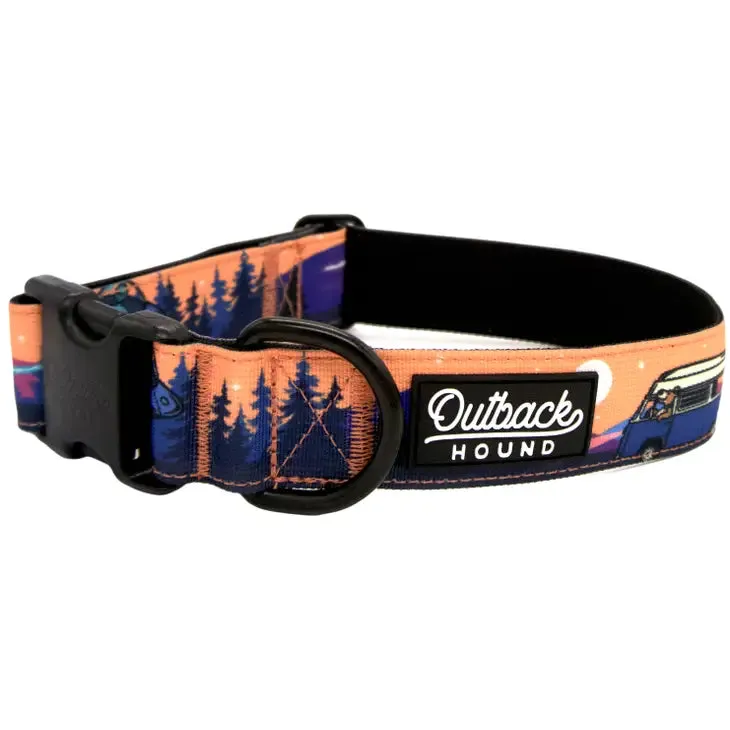 Out There Trail Hound Dog Collar