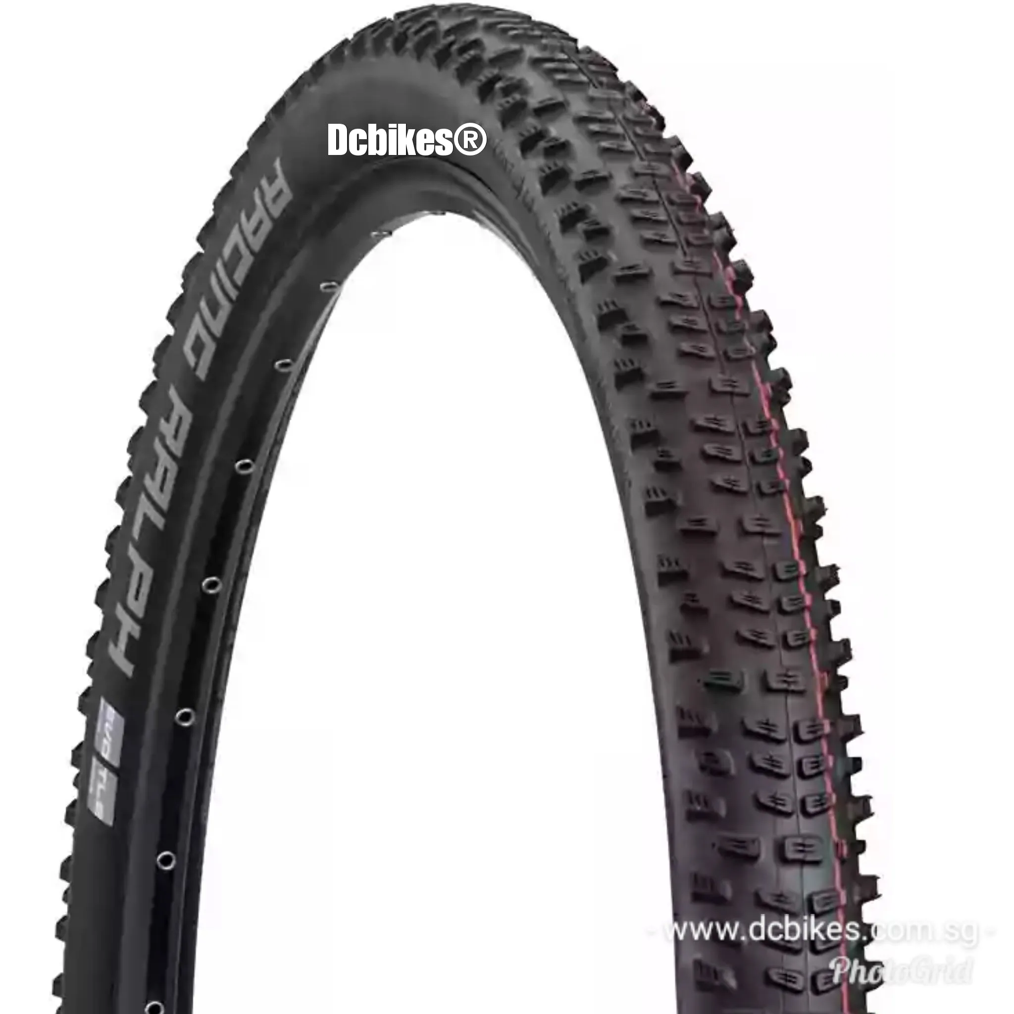 Schwalbe 29 X 2.25 Racing Ralph Addix Speed Super Ground Evo Tubeless Ready Folding Tyres (1 Tire)