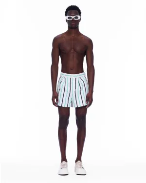 The Mid Rise Pleated Short : Stripe 6
