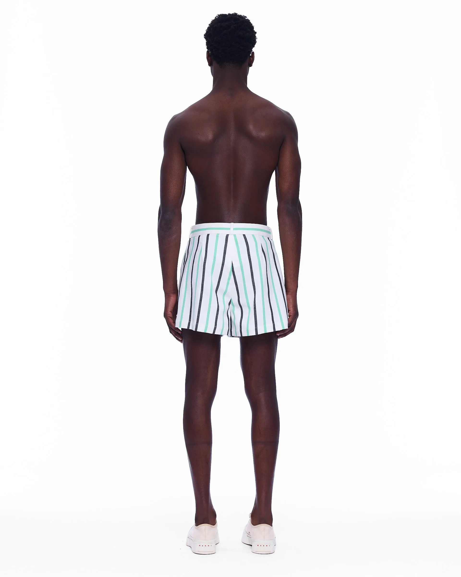 The Mid Rise Pleated Short : Stripe 6
