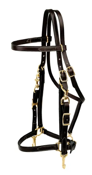 Tory Leather Combo Bridle and Halter