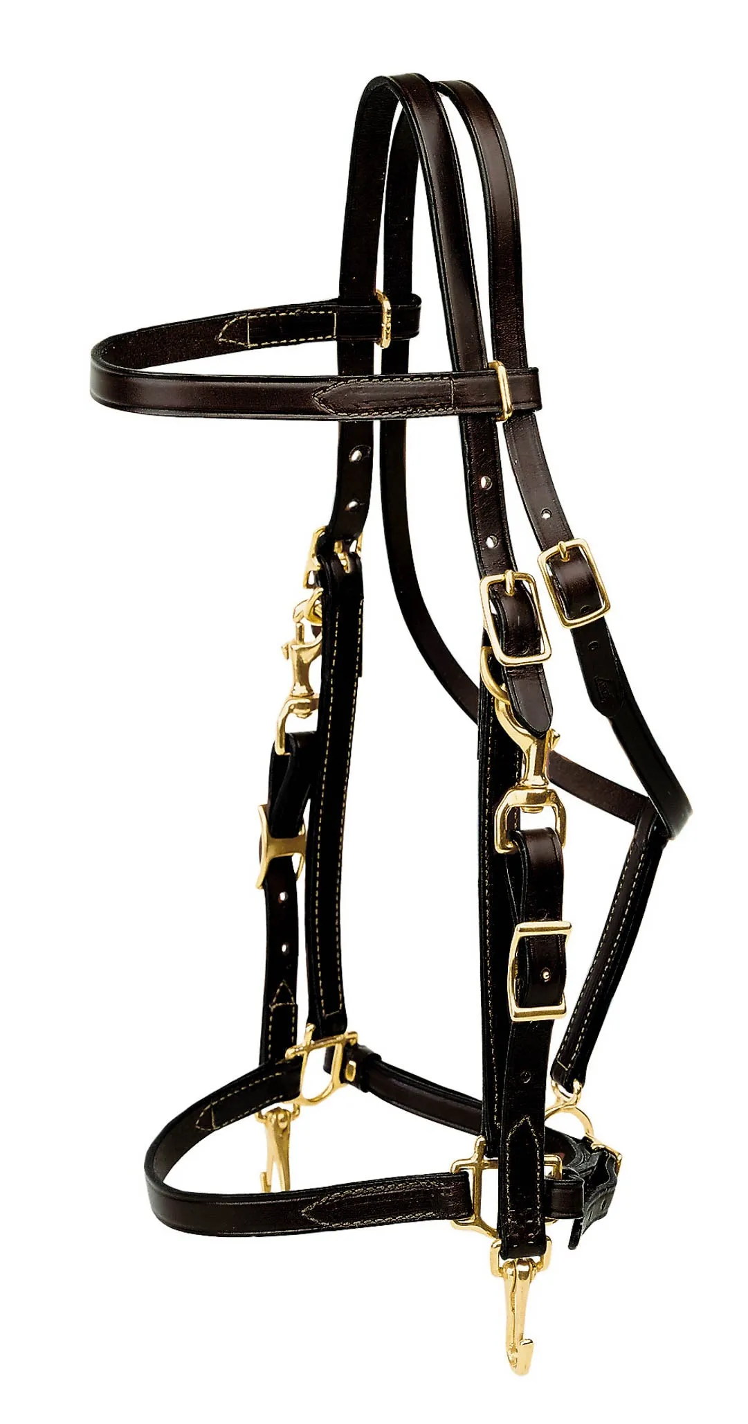 Tory Leather Combo Bridle and Halter
